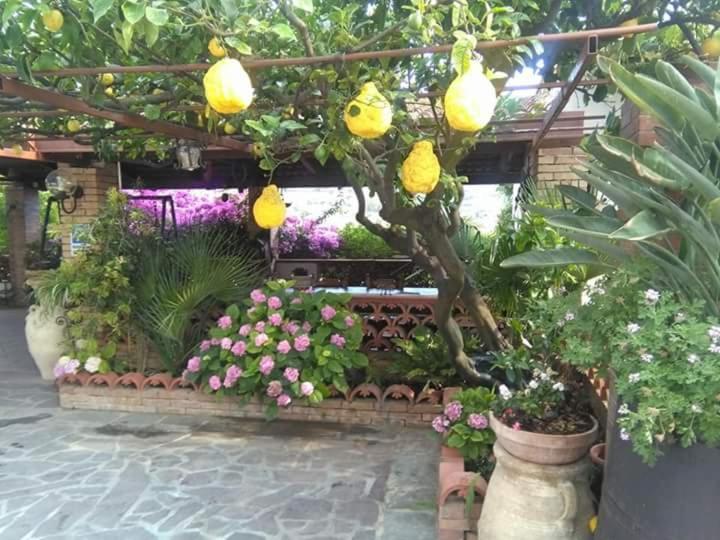 B&B La Porta Del Cilento Capaccio Exteriör bild